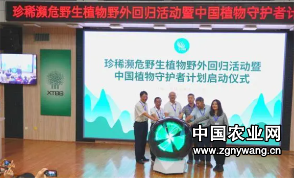 屏幕截图 2024-09-05 194822.png