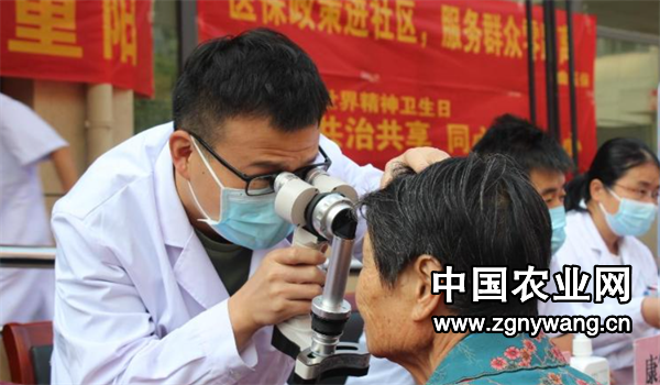 屏幕截图 2024-10-12 114957.png