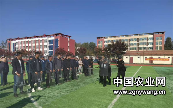 屏幕截图 2024-11-04 131544.png