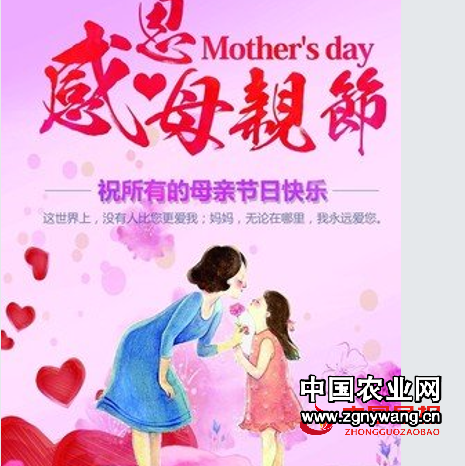母亲节.png