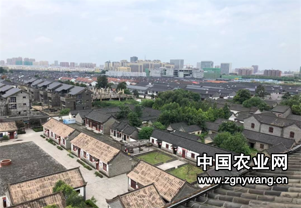 屏幕截图 2024-11-11 170743.png