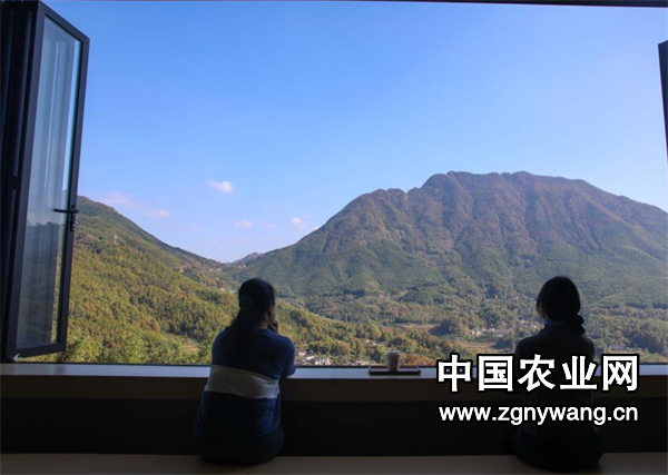 屏幕截图 2024-11-15 171451.png