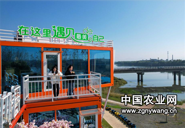 屏幕截图 2024-11-15 171511.png