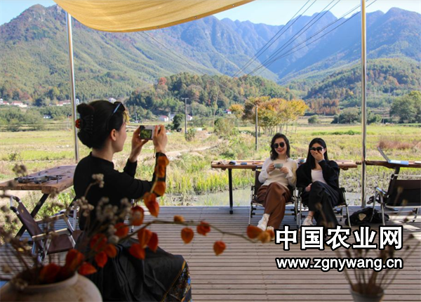 屏幕截图 2024-11-15 171551.png