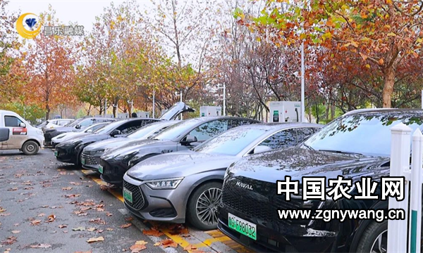 屏幕截图 2024-11-22 171444.png