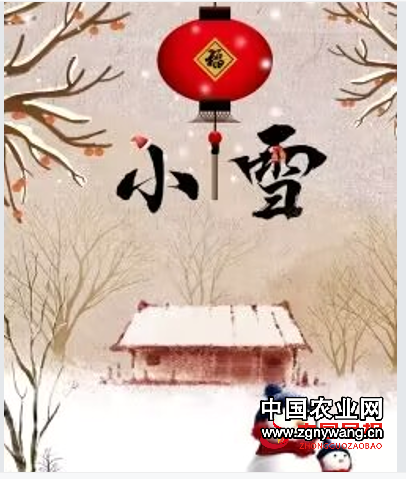 6小雪.png