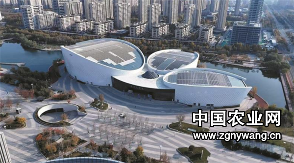 屏幕截图 2024-11-24 165452.png