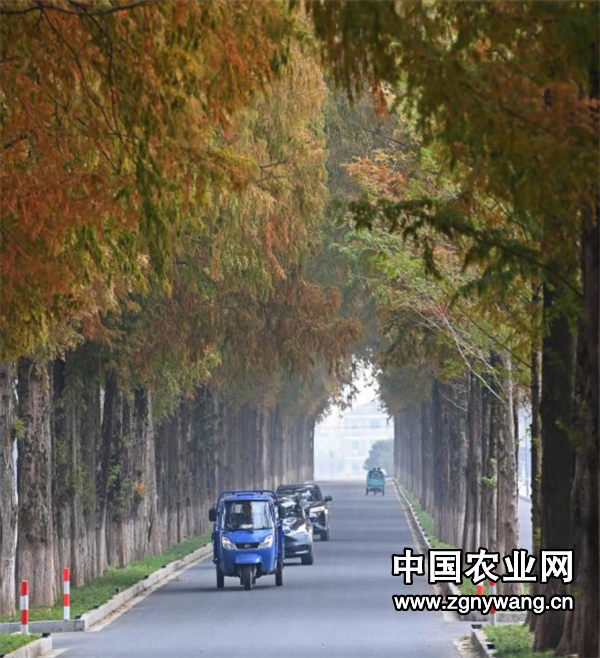 屏幕截图 2024-12-04 141148.png