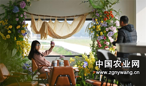 屏幕截图 2024-12-04 141209.png