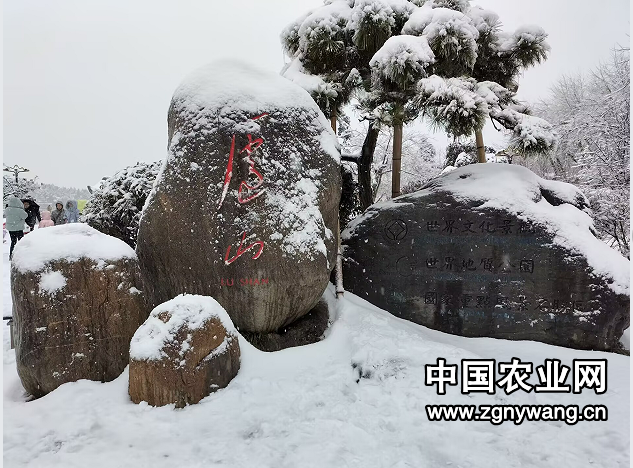4庐山雪景.png
