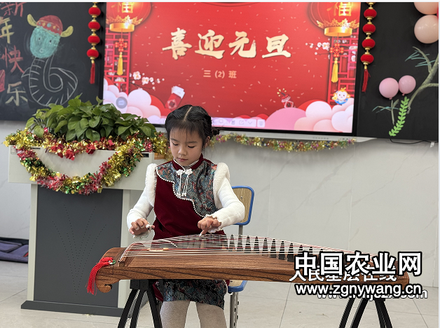 33古筝表演.png