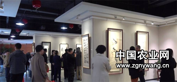 屏幕截图 2025-01-08 222825.png