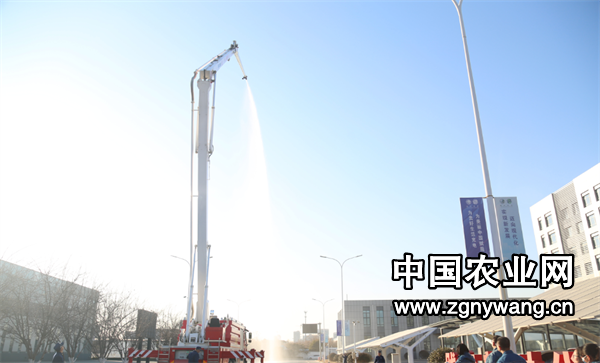 屏幕截图 2025-01-25 183142.png