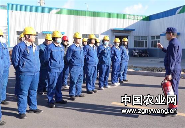 屏幕截图 2025-02-06 164704.png