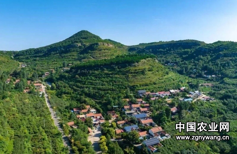 640 (2)_副本_副本.jpg