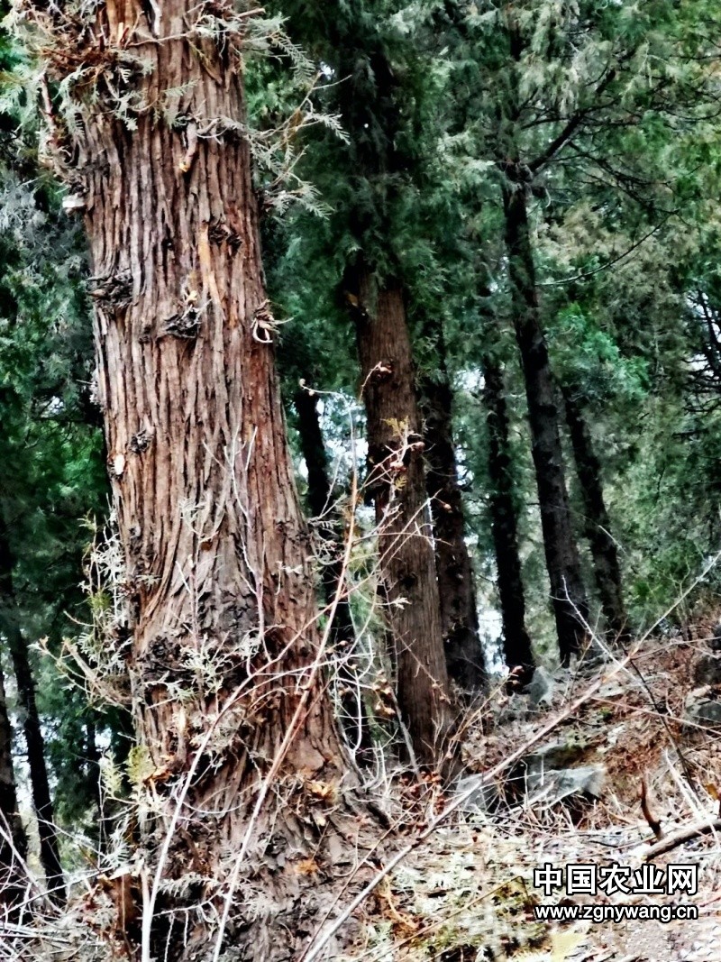 640 (3)_副本_副本.jpg