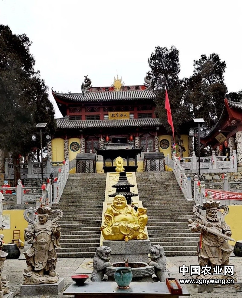 640 (4)_副本_副本.jpg