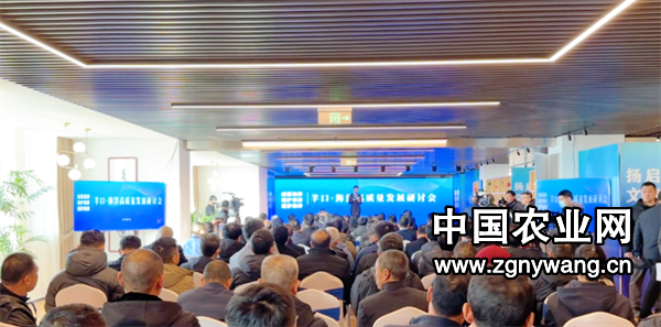 屏幕截图 2025-02-15 182155.png