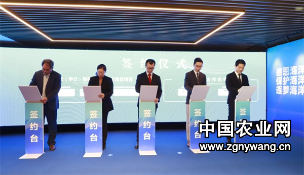 屏幕截图 2025-02-15 182212.png