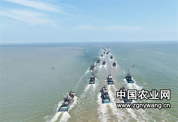 屏幕截图 2025-02-15 182251.png