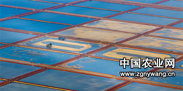 屏幕截图 2025-02-15 182306.png