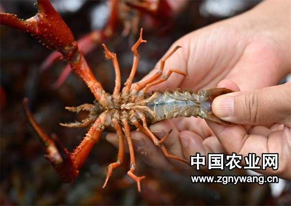 屏幕截图 2025-03-03 145139.png