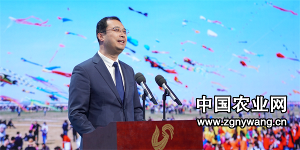 屏幕截图 2025-03-07 222618.png