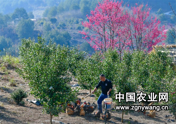 屏幕截图 2025-03-14 161455.png