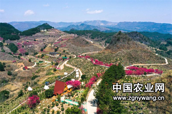 屏幕截图 2025-03-14 161551.png