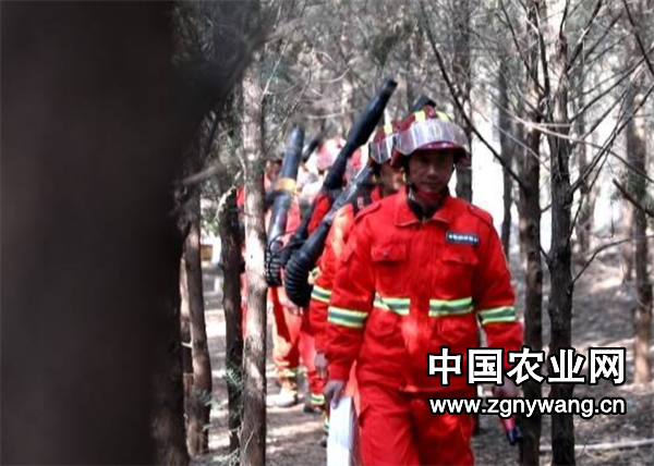 屏幕截图 2025-04-02 205959.png