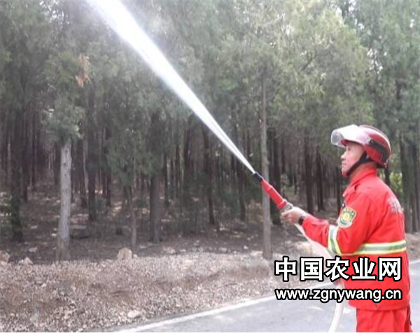 屏幕截图 2025-04-02 210013.png