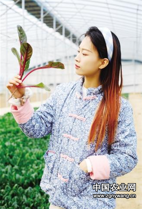 屏幕截图 2025-04-22 155239.png