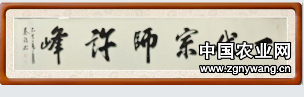一代宗师许峰.png
