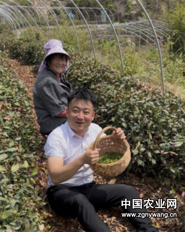 屏幕截图 2025-04-29 232458.png