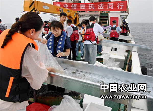 屏幕截图 2025-06-11 181207.png