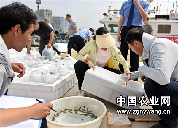 屏幕截图 2025-06-11 181233.png