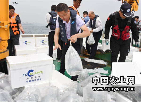 屏幕截图 2025-06-11 181242.png