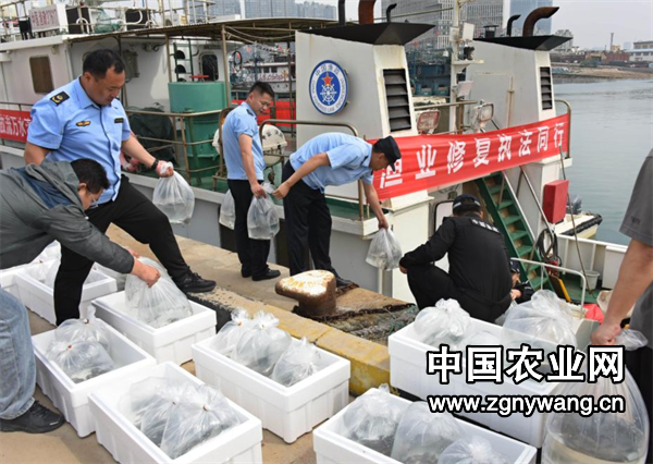 屏幕截图 2025-06-11 181251.png