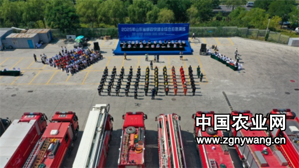 屏幕截图 2025-06-20 214822.png