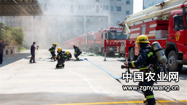 屏幕截图 2025-06-20 214833.png