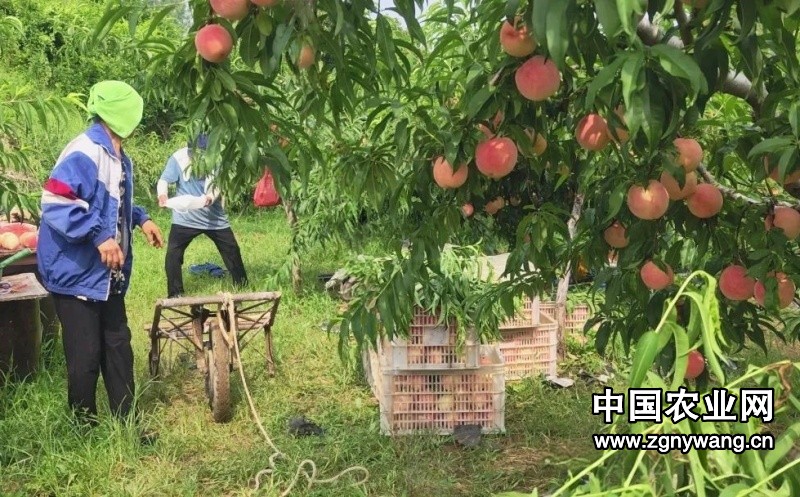 640 (1)_副本_副本.jpg