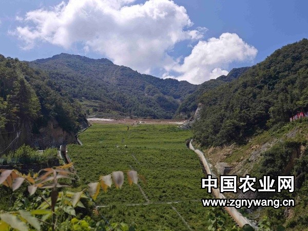 白河，可以拿出来晒了