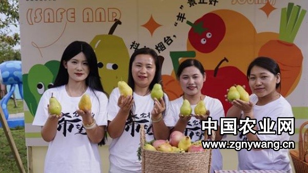 日销3000单、教上万农民直播，田家四姐妹用“新农具”书写乡村振兴故事