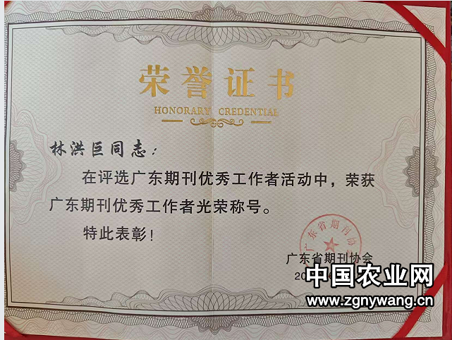3林获奖.png