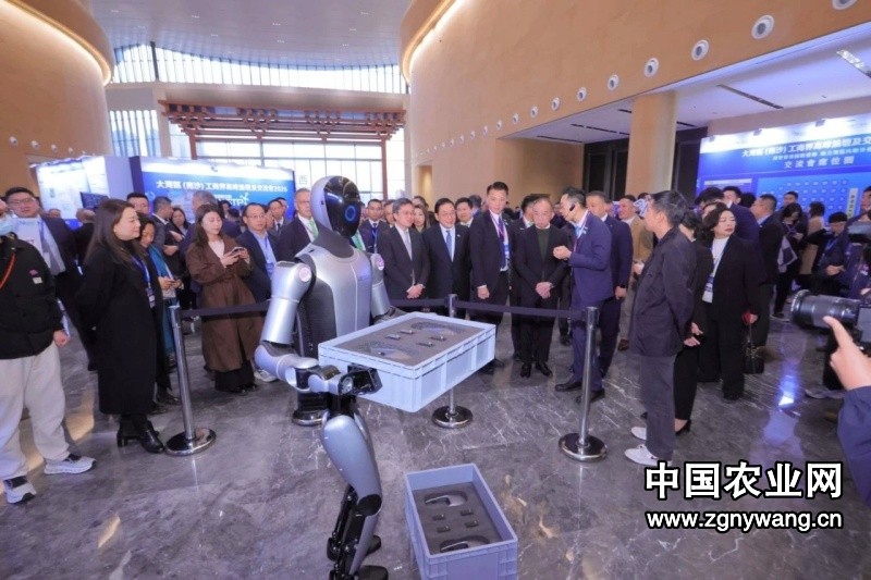 香港＆南沙签署合作备忘录！近千名粤港人士齐聚，共谋大湾区棋眼发展新商机