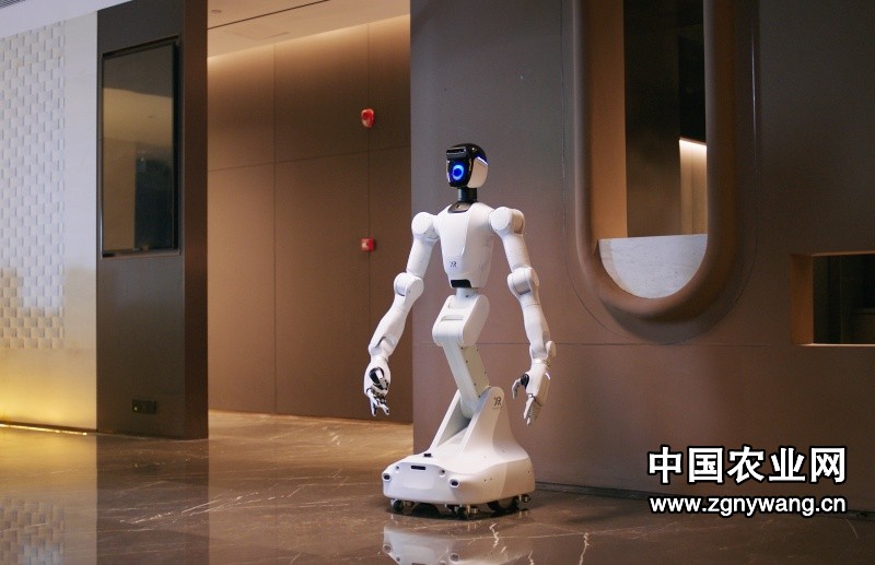 自变量获字节、红杉等10亿元投资，构建物理世界的基础模型