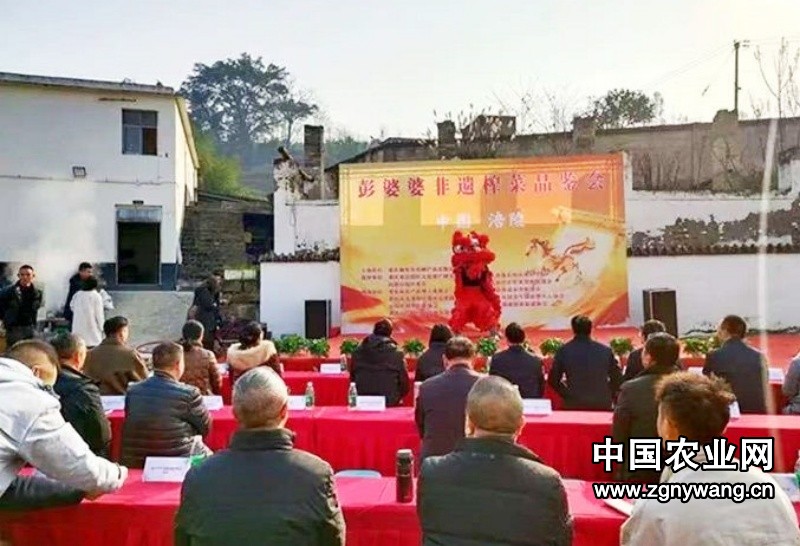 从乡村振兴到国际舞台 彭婆婆非遗榨菜书写 产业融合新篇