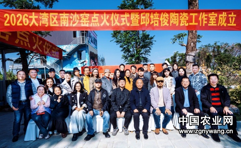 南沙窑点火开窑，麟界数科助力陶瓷文化创新