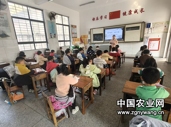 笔下生花展风采 汉字飞扬竞少年 ——湖北荆门市沙洋县十里小学开展低年级听写比赛