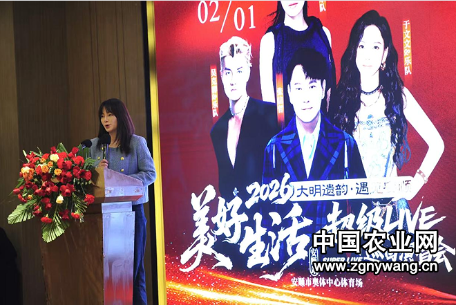 贵州安顺创新“演艺+文旅”模式  以融合动能撬动全域发展